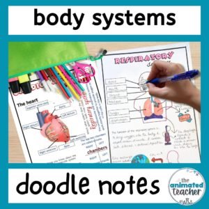 body systems doodle notes bundle