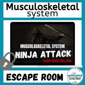 musculoskeletal system digital escape room