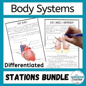 body systems worksheets bundle