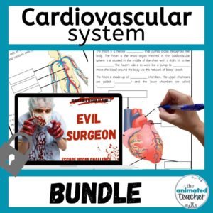 cardiovascular system activities bundle