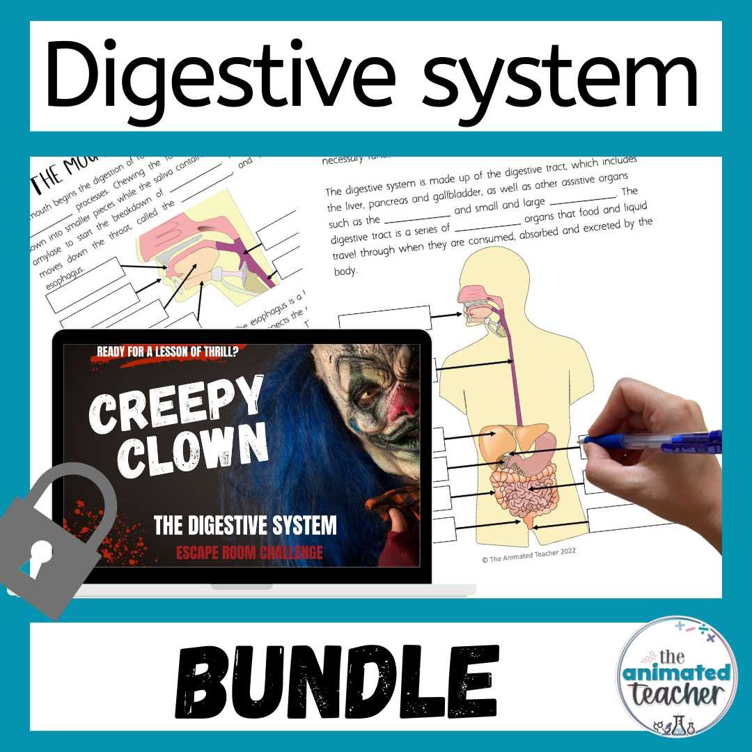 Digestive System Activities Bundle
