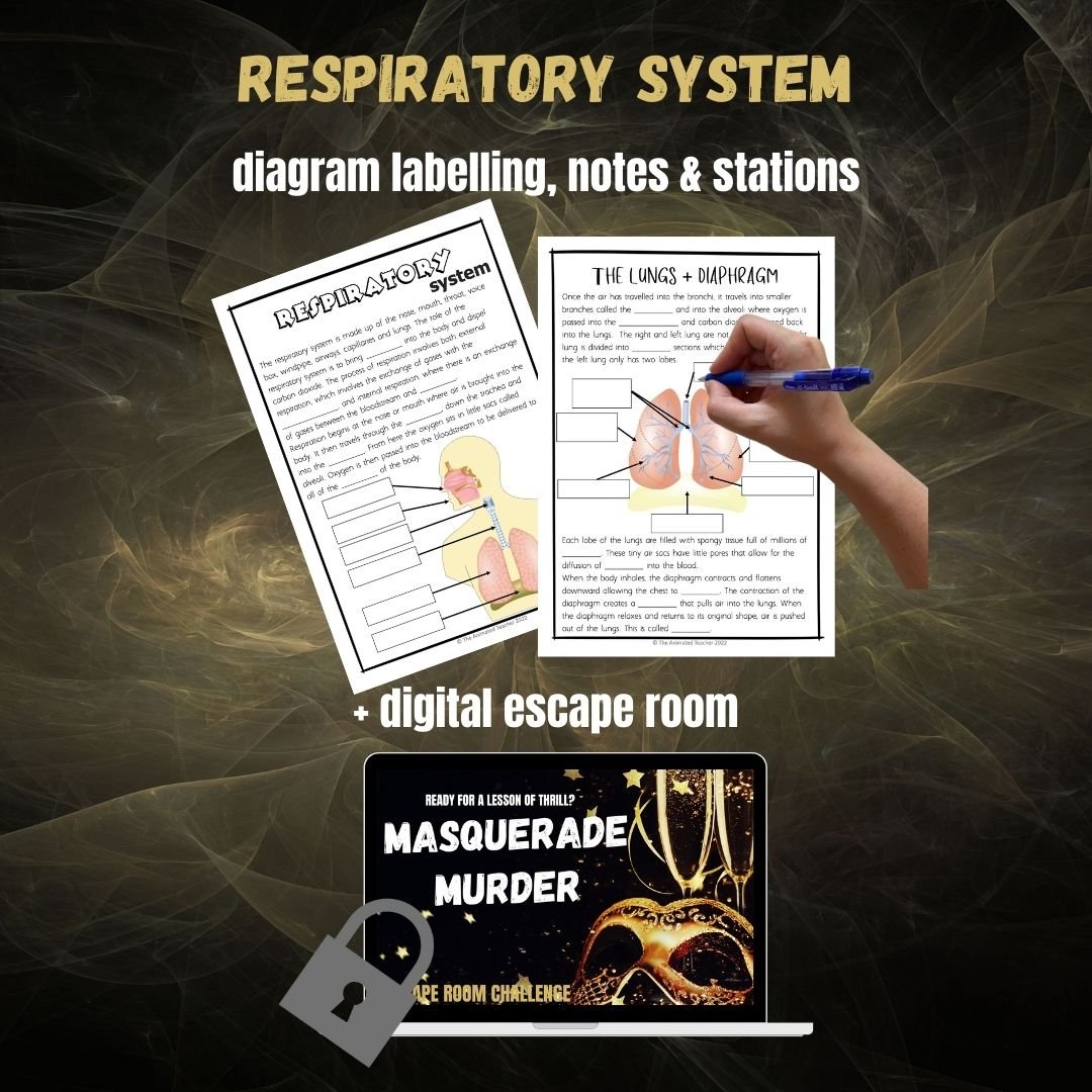 Respiratory System Activities Bundle - Image 2