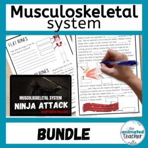 musculoskeletal activities bundle
