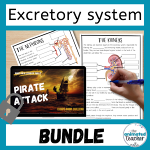 Excretory System Activities bundle