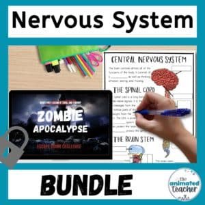 nervous system activities bundle