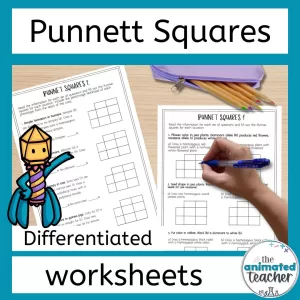 Punnett Square Worksheets