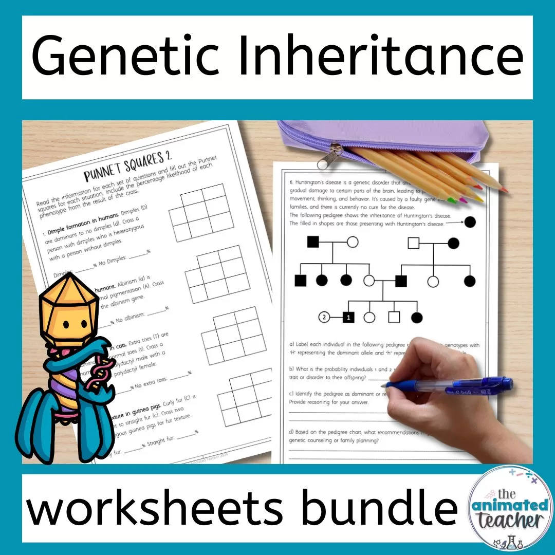 genetics practice problems worksheet bundle