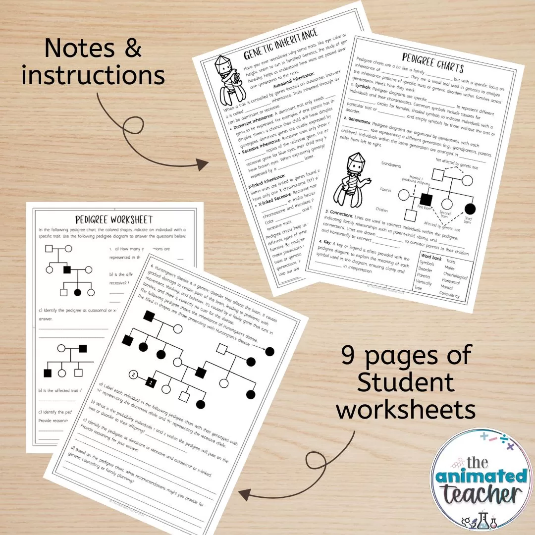 Genetics pedigree worksheet with answer key pdf - Image 2