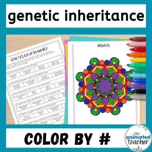 genetics color by number