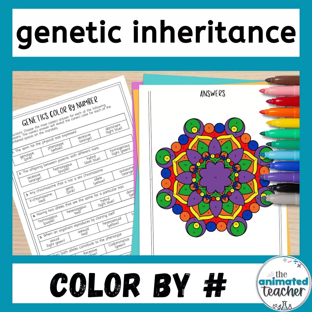 genetics color by number