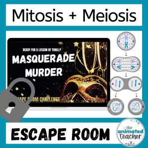mitosis and meiosis activity cell division