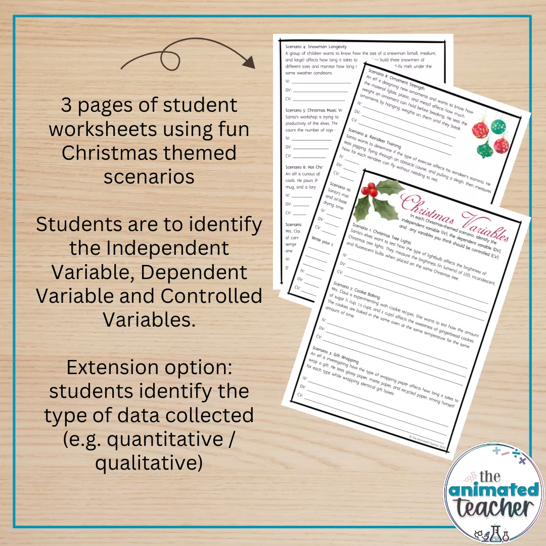 Science Christmas worksheets variables printable and digital - Image 2