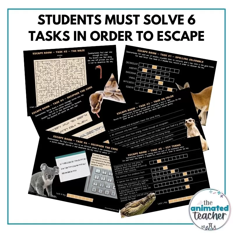 Grade 4 Ecosystems Activity Escape Room Science Lesson - Image 2