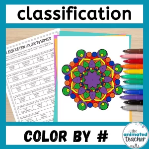 classification color by number