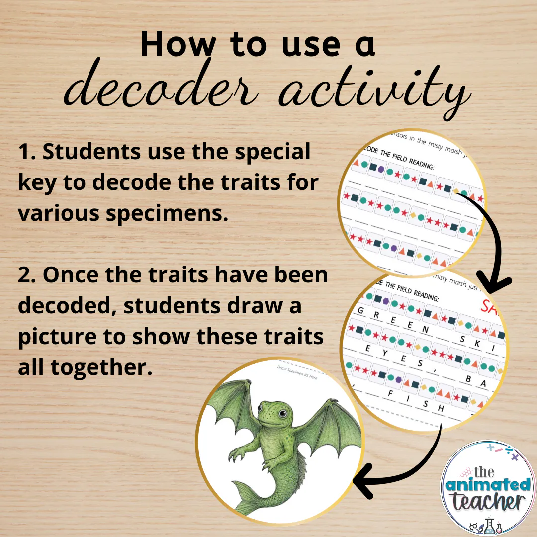 11 Decoding Key Worksheets Crack the Code Mystery Creature - Image 2